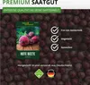 Rote Beete Rote Kugel 2 Samen - Beta vulgaris - Rübensamen Produktbild-Vorschau 8