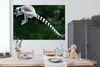 MuchoWow® Poster Affe - Ringschwanzlemur - Wald 180x120 cm Produktbild-Vorschau 3