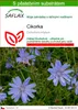 SAFLAX - cikorka - Cichorium intybus - 250 Semena - S Náhled obrázku produktu 1