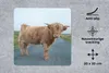MuchoWow® Mauspad Mousepad Scottish Highlander - Straße - Produktbild-Vorschau 2