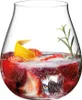 Riedel GIN SET CONTEMPORARY 5414/76 Voir les images du produit 1