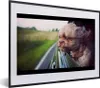 MuchoWow® MuchoWow® Gerahmtes Poster Hund - Auto - Tier Produktbild-Vorschau 1
