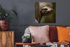 MuchoWow® Poster Ein Faultier in den Bäumen schaut in die Produktbild-Vorschau 2