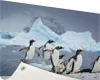 Gartenposter - 120x80 cm - Pinguine springen aus dem Wasser Produktbild-Vorschau 1