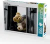 Calvendo Ein Motiv aus dem Kalender Teddy unterwegs 1000 Produktbild-Vorschau 1