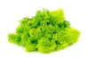 Islandmoos Grün 400g - Natürliches Bastelmoos für Produktbild-Vorschau 4