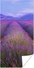 MuchoWow® Poster Reihen von Lavendel vor Bergen 20x40 cm - Produktbild-Vorschau 1