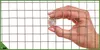 Volierendraht - 19x19x1,4mm - 5m² - Leicht - Produktbild-Vorschau 4