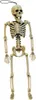 Positionierbares Halloween Skelett 35cm Produktbild-Vorschau 1