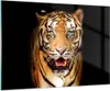 Bilder auf glas - tiger tier - 100x70cm - Glasbilder - Produktbild-Vorschau 1