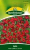 Artikelbild 2 von 'Lein Roter' aus der Kategorie Blumensamen Produktbild-Vorschau
