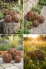Garten und Terrasse Dekoration Gartenkugel Rustikal Stahl Produktbild-Vorschau 16