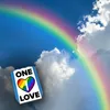 One Love Regenbogen Parkscheibe mit 2 Einkaufswagenchips Produktbild-Vorschau 3