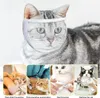 Mondkorf voor katten - Verstelbaar - Transparante mondkorf Productafbeelding-voorbeeld 4