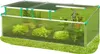 Juwel Garten Frühbeet Gewächshaus BIOSTAR 1500 PREMIUM Fensteröffner Fensterautomat Alu gewächshaus frühbeet Pflanzen Treibhaus Frühbeetkasten Kastentreibhaus 9001567201504 20150 Produktbild-Vorschau
