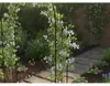 Orion łuk różany GArtenbogen pergola krata wykonana z Podgląd zdjęcia produktu 15