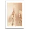 Leinwandbild Pampasgras in einer Vase 40x60 Feeby Beige Produktbild-Vorschau 3