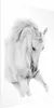 Posterpapier Poster - White Horse 21x30 cm Tiere Produktbild-Vorschau 1