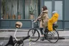 Regenjacke für Kinder Rainette Wasserdicht Produktbild-Vorschau 6