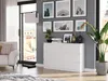 Komoda 120 cm 6 zásuvek skříňka FRAMIRE R-120 bílá Náhled obrázku produktu 2