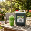 Rainbow sciroppo slush mela 5 litri 1:5 senza coloranti AZO Anteprima dell’immagine prodotto 8