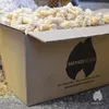 10 kg Bioanzünder Kamin & Grill – Holzwolle & Wachs | Produktbild-Vorschau 5