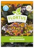 Artikelbild 1 von 'Winterkopfsalat Wintermarie' aus der Kategorie Kopfsalatsamen Produktbild-Vorschau