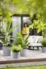 ELHO - Blumentopf - Greensense Aqua Care Round 43 - Light Produktbild-Vorschau 10