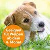 Halsband ARDAP Zecken- und Flohhalsband große Hunde Produktbild-Vorschau 2