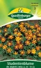 Studentenblume Mr. Majestic | Blumensamen von Quedlinburger Produktbild-Vorschau 3