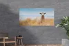 MuchoWow® Produktbild-Vorschau 4