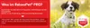 PRO | Formateur en relaxation CHIEN Voir les images du produit 10