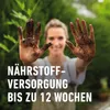 COMPO SANA Qualitäts-Blumenerde 25 l Produktbild-Vorschau 4