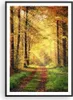 Gerahmtes Poster - Schwarzer Rahmen - Wald Baum Natur - Produktbild-Vorschau 1