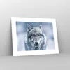 Poster - Poster ohne Rahmen - Wolf Raubtier Wildheit - Produktbild-Vorschau 7