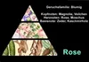 GKA Parfüm Öl Rose aus Frankreich Parfümöl Kosmetik Produktbild-Vorschau 2