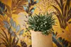 Livingwalls tapeta dżungla Metropolitan Stories tapeta Podgląd zdjęcia produktu 31