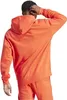 Adidas Hoodie IX3960 in Multicolored color size large Produktbild-Vorschau 3