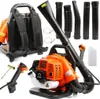 Benzin Laubbläser 0,75kW 6500 rpm 2-Takt-Motor Produktbild-Vorschau 1
