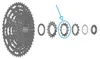 Shimano Ersatzteil Zahnkranz Ritzel CS-LG600-11fach 13T 13 Produktbild-Vorschau 1