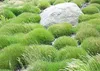 A large rock is surrounded by clumps of green grass. Produktbild-Vorschau