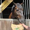 10 kg Lyra Horse® Karotte-Himbeer-Kräuter Leckerli Produktbild-Vorschau 3
