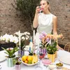 Kolibri Orchids Fialová orchidej Phalaenopsis Vienna + Náhled obrázku produktu 2