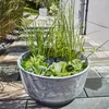 Solar Wassergarten AQUATOPIA inkl. Wasserspielpumpe - Produktbild-Vorschau 3