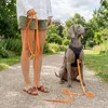 belviona Schleppleine für Hunde, Trainingsleine mit Produktbild-Vorschau 3