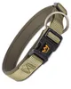 A dog collar on a white background. Produktbild-Vorschau