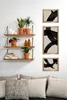 A living room scene with shelves holding plants and decor, and a sofa with pillows in the foreground. Produktbild-Vorschau
