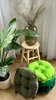 Several round seat cushions are stacked on a wooden floor in front of a plant and a stool with a vase of dried flowers. Produktbild-Vorschau