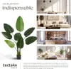 Arbre oiseau du paradis TROPIC - 120 cm Voir les images du produit 7