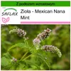 SAFLAX - Zioła - Mexican Nana Mint - 500 Nasiona - Z Podgląd zdjęcia produktu 9
